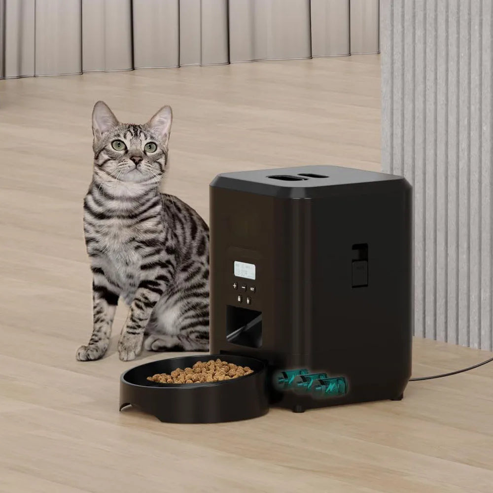 FeastFurward
